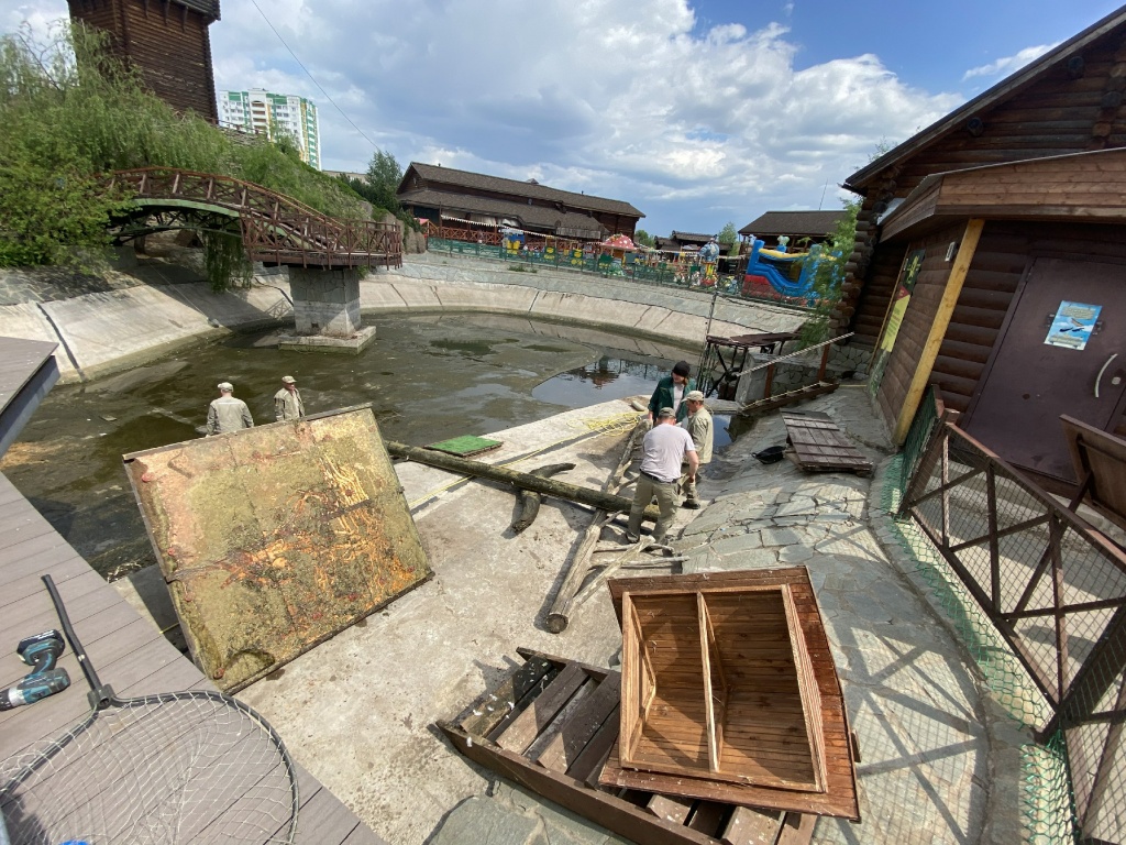 ������� ��������IMG_5626.jpg